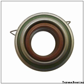 Toyana TUP1 40.50 plain bearings
