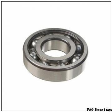 FAG 22320-E1-K + H2320 spherical roller bearings