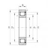 INA SL181868-E cylindrical roller bearings #3 small image