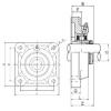 ISO UKF213 bearing units #3 small image