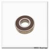 NACHI NP 1017 cylindrical roller bearings