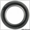 Enduro GE 110 SX plain bearings #1 small image