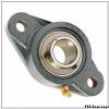 FYH SBPFL205-15 bearing units #1 small image