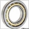 SIGMA NJ 318 cylindrical roller bearings