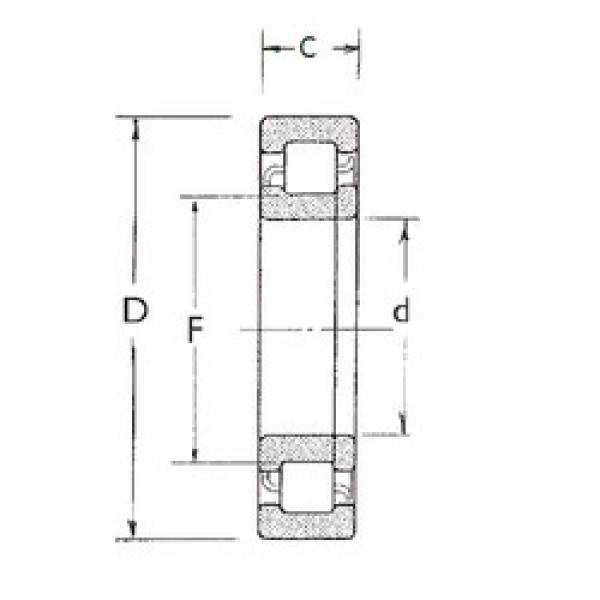 FBJ NUP207 cylindrical roller bearings #2 image