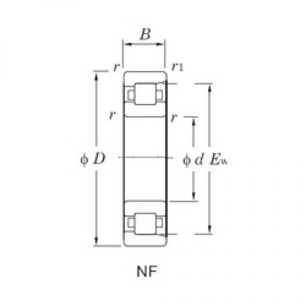 KOYO NF221 cylindrical roller bearings #2 image