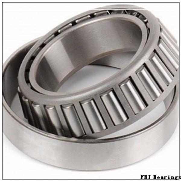 FBJ SL04-5020NR cylindrical roller bearings #1 image