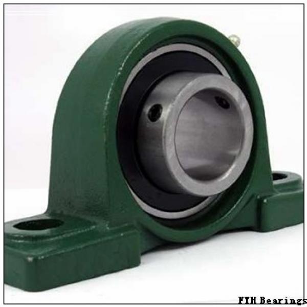FYH UCFL206-19E bearing units #1 image
