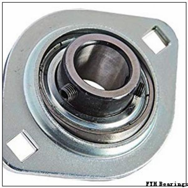 FYH UCIP313 bearing units #2 image