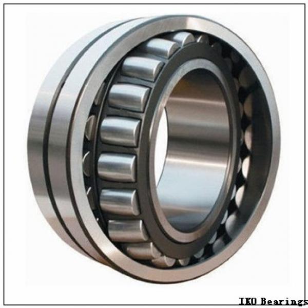 IKO NAS 5013ZZNR cylindrical roller bearings #1 image