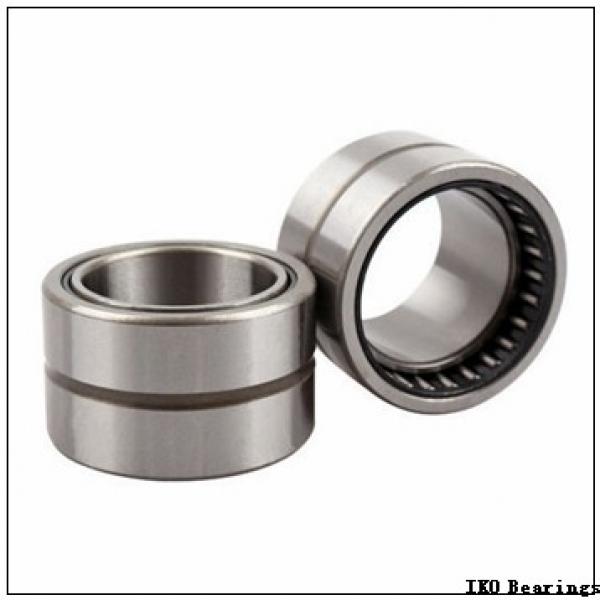 IKO NAS 5013ZZNR cylindrical roller bearings #2 image