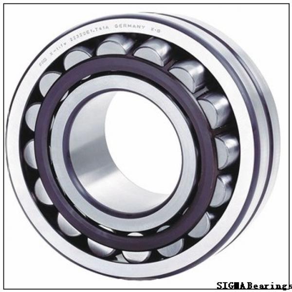 SIGMA 1213 self aligning ball bearings #1 image