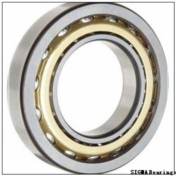 SIGMA 1219 self aligning ball bearings #1 image